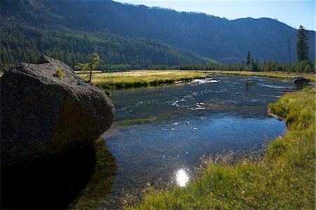 Madison River valley near Madison, Yellowstone National Park, UNESCO World Heritage Site, Wyoming, United States of America, North America Stock Photo - Rights-Managed, Code: 841-06502650