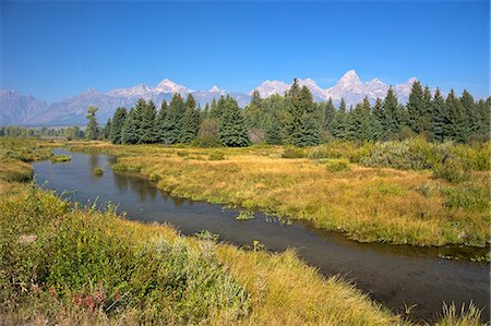 Snake River at the Schwabacher Landing, Grand Teton National Park, Wyoming, United States of America, North America Stock Photo - Rights-Managed, Code: 841-06502733