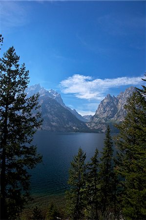 Jenny Lake, Grand Teton National Park, Wyoming, United States of America, North America Foto de stock - Con derechos protegidos, Código: 841-06502742