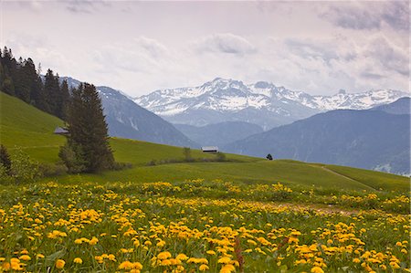 french countryside - The snow capped mountains of the Haute-Savoie near to Les Saisies, Haute-Savoie, France, Europe Stock Photo - Rights-Managed, Code: 841-06617013