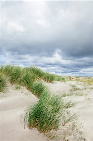 Sand dunes and dramatic sky, Schiermonnikoog, West Frisian Islands, Friesland, The Netherlands (Holland), Europe Stock Photo - Rights-Managed, Code: 841-06617162