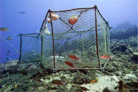 simsearch:841-06804482,k - Fishing cage in Dominica, West Indies, Caribbean, Central America Stock Photo - Rights-Managed, Code: 841-06804428