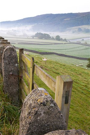 simsearch:700-04424933,k - Gate in stone wall and field, near Burnsall, Yorkshire Dales National Park, Yorkshire, England, United Kingdom, Europe Stock Photo - Rights-Managed, Code: 841-06805510