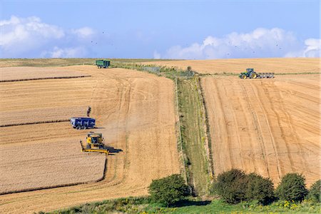 View from the South Downs Way footpath, Sussex, England, United Kingdom, Europe Stock Photo - Rights-Managed, Code: 841-06805684