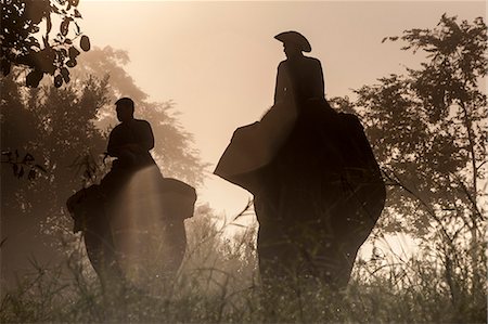 elephas maximus - Elephants and riders, Golden Triangle, Thailand, Southeast Asia, Asia Stock Photo - Rights-Managed, Code: 841-06805905