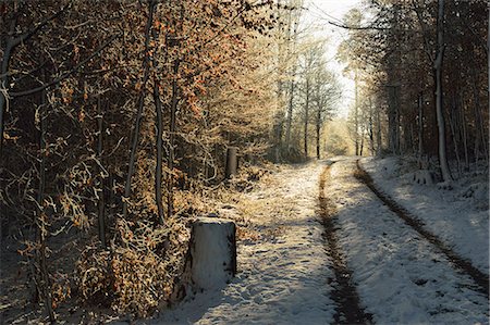 simsearch:614-06718312,k - Rural winter scene, near Villingen-Schwenningen, Baden-Wurttemberg, Germany, Europe Photographie de stock - Rights-Managed, Code: 841-06806304