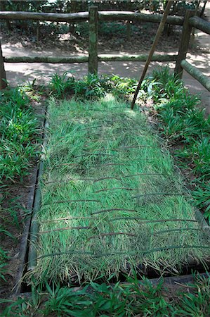 Booby trap, Cu Chi Tunnels, Ho Chi Minh City (Saigon), Vietnam, Indochina, Southeast Asia, Asia Photographie de stock - Rights-Managed, Code: 841-06806984