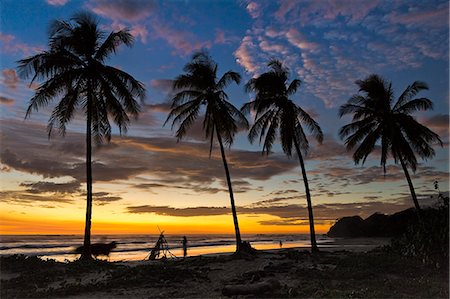 Palm trees at sunset on Playa Guiones surfing beach, Nosara, Nicoya Peninsula, Guanacaste Province, Costa Rica, Central America Stock Photo - Rights-Managed, Code: 841-06807446