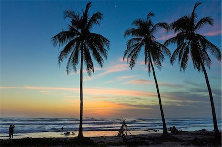 simsearch:841-06034119,k - Palm trees at sunset on Playa Guiones surf beach at sunset, Nosara, Nicoya Peninsula, Guanacaste Province, Costa Rica, Central America Stock Photo - Rights-Managed, Code: 841-06807451
