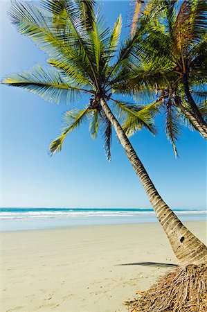 simsearch:841-07081935,k - The white sand palm-fringed beach at this laid-back village & resort; Samara, Guanacaste Province, Nicoya Peninsula, Costa Rica, Central America Stock Photo - Rights-Managed, Code: 841-06807484
