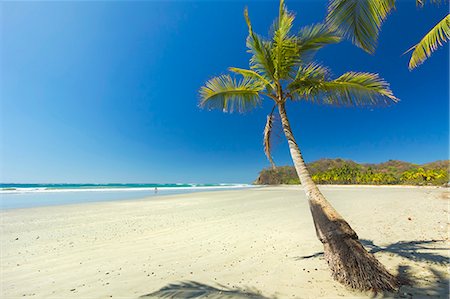 simsearch:841-07081935,k - The white sand palm-fringed beach at this laid-back village and resort, Samara, Nicoya Peninsula, Guanacaste Province, Costa Rica, Central America Stock Photo - Rights-Managed, Code: 841-06807486