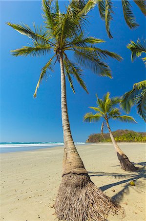 simsearch:841-07081935,k - The white sand palm-fringed beach at this laid-back village & resort; Samara, Guanacaste Province, Nicoya Peninsula, Costa Rica, Central America Stock Photo - Rights-Managed, Code: 841-06807487