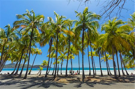 Beautiful palm fringed white sand Playa Carrillo, Carrillo, near Samara, Guanacaste Province, Nicoya Peninsula, Costa Rica, Central America Stock Photo - Rights-Managed, Code: 841-06807497