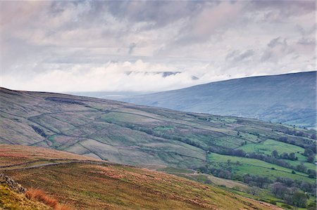 The rolling hills of the Yorkshire Dales National Park near Dentdale, Yorkshire, England, United Kingdom, Europe Stock Photo - Rights-Managed, Code: 841-06807887