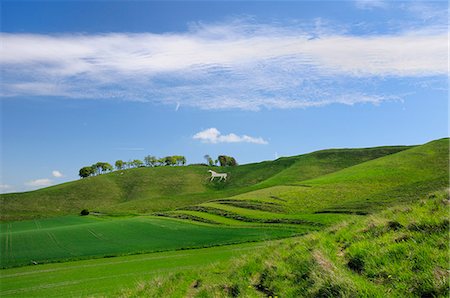 simsearch:841-07783088,k - Cherhill white horse, first cut into chalk downland in 1780, Wiltshire, England, United Kingdom, Europe Stock Photo - Rights-Managed, Code: 841-06808103