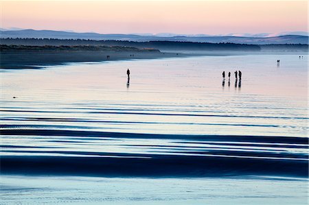 silhouette group people - Silhouetted figures on the West Sands at dusk, St Andrews, Fife, Scotland, United Kingdom, Europe Stock Photo - Rights-Managed, Code: 841-07084077