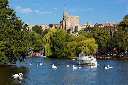 stereotypical - Windsor Castle and River Thames, Windsor, Berkshire, England, United Kingdom, Europe Stock Photo - Rights-Managed, Code: 841-07084108