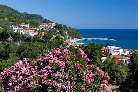 flowers greece - View over resort, Agios Ioannis, Pelion Peninsula, Thessaly, Greece, Europe Stock Photo - Rights-Managed, Code: 841-07084141