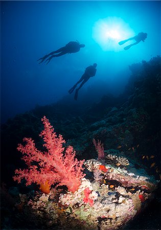 simsearch:841-06617132,k - Silhouette of three scuba divers above coral reef, Ras Mohammed National Park, Red Sea, Egypt, North Africa, Africa Stock Photo - Rights-Managed, Code: 841-07084393