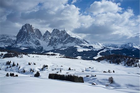 simsearch:841-07081444,k - A snowy view of Sassolungo and Sassopiato Mountains behind the Alpe di Siusi ski area in the Dolomites, South Tyrol, Italy, Europe Stock Photo - Rights-Managed, Code: 841-07081419