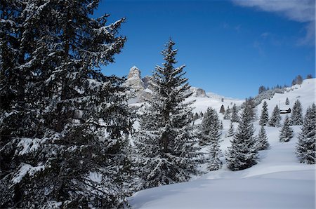 ski chalet - Sassongher Mountain seen through snow covered trees at the Alta Badia ski resort near Corvara, Dolomites, South Tyrol, Italy, Europe Stock Photo - Rights-Managed, Code: 841-07081452