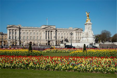 simsearch:841-07202520,k - Red and yellow tulips growing in of Buckingham Palace, London, England, United Kingdom, Europe Stock Photo - Rights-Managed, Code: 841-07081463