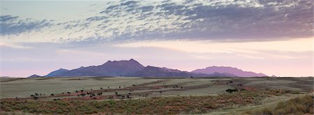 simsearch:841-07082113,k - Panoramic view at dusk over the magnificent landscape of the Namib Rand game reserve, Namib Naukluft Park, Namibia, Africa Stock Photo - Rights-Managed, Code: 841-07081726