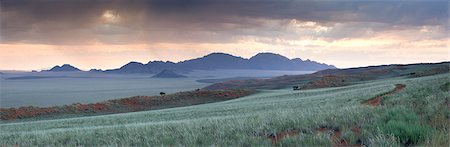 scenic and panoramic - Panoramic view at dusk over the magnificent landscape of the Namib Rand game reserve, Namib Naukluft Park, Namibia, Africa Stock Photo - Rights-Managed, Code: 841-07081727