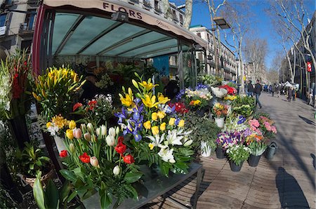 stall - Flower stall on Las Ramblas, Barcelona, Catalunya, Spain, Europe Stock Photo - Rights-Managed, Code: 841-07082411