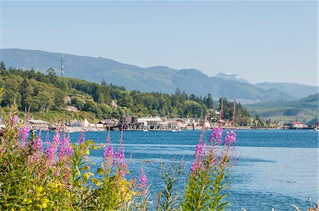 Alert Bay harbour, British Columbia, Canada, North America Stock Photo - Rights-Managed, Code: 841-07082748