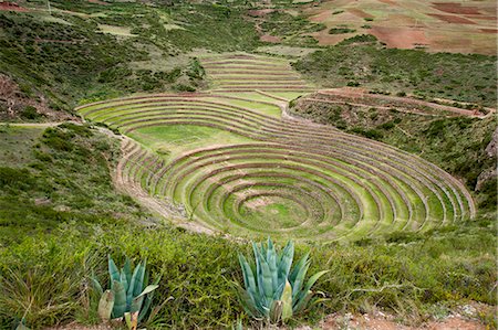 simsearch:841-07206105,k - Moray Incan agricultural laboratory ruins near Maras, Sacred Valley, Peru, South America Stock Photo - Rights-Managed, Code: 841-07082871