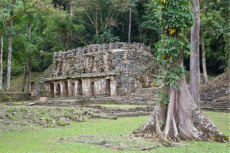 simsearch:841-06502522,k - Yaxchilan Archaeological Zone, Chiapas, Mexico, North America Stock Photo - Rights-Managed, Code: 841-07083014