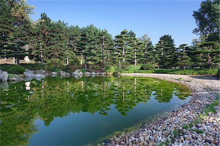Japanese garden, North Park (Nordpark), Dusseldorf, North Rhine Westphalia, Germany, Europe Stock Photo - Rights-Managed, Code: 841-07204682
