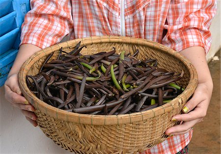Vanilla pods, Vietnam, Indochina, Southeast Asia, Asia Stock Photo - Rights-Managed, Code: 841-07205082