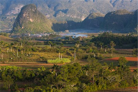 farming in the caribbean - Vinales Valley, UNESCO World Heritage Site, bathed in early morning sunlight, Vinales, Pinar Del Rio Province, Cuba, West Indies, Central America Stock Photo - Rights-Managed, Code: 841-07205140