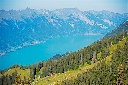 View of Lake Interlaken from Schynige Platte, Bernese Oberland, Swiss Alps, Switzerland, Europe Stock Photo - Rights-Managed, Code: 841-07205232