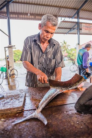 Negombo fish market (Lellama fish market), a fisherman gutting fish, Negombo, West Coast of Sri Lanka, Asia Stock Photo - Rights-Managed, Code: 841-07201431