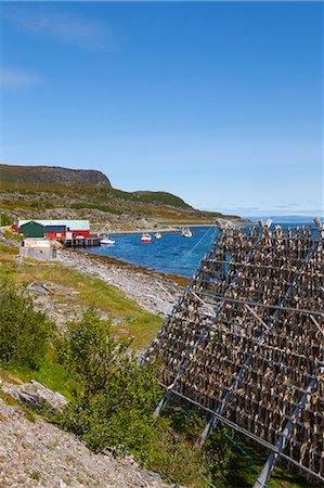 simsearch:841-06806785,k - Cod drying on traditional drying racks, Nordkapp, Finnmark, Norway, Scandinavia, Europe Stock Photo - Rights-Managed, Code: 841-07201501