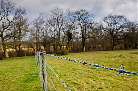 perimeter - Barbed wire fence in Oxfordshire field, Bruern, The Cotswolds, United Kingdom Stock Photo - Rights-Managed, Code: 841-07201900