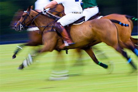 Polo ponies and riders at Guards Polo Club in Windsor, United Kingdom Stock Photo - Rights-Managed, Code: 841-07202009