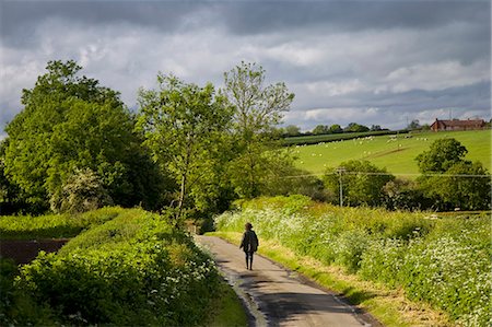 Women walks down a country lane, Oxfordshire, United Kingdom Stock Photo - Rights-Managed, Code: 841-07202081