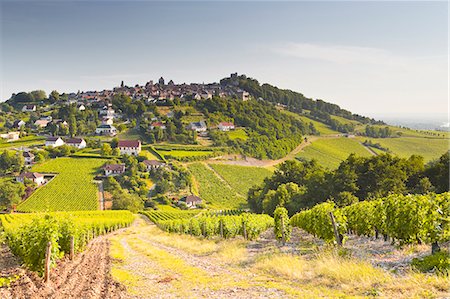 The vineyards of Sancerre in the Loire Valley, Cher, Centre, France, Europe Foto de stock - Con derechos protegidos, Código: 841-07202649