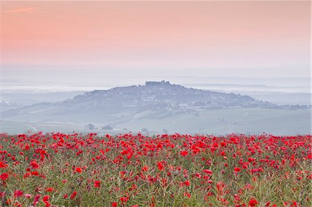 A colourful display of poppies above the village of Sancerre in the Loire Valley, Cher, Centre, France, Europe Stock Photo - Rights-Managed, Code: 841-07202643