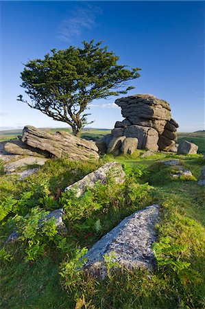 simsearch:841-07082971,k - Summer morning on a rocky outcrop near Saddle Tor in Dartmoor National Park, Devon, England, United Kingdom, Europe Stock Photo - Rights-Managed, Code: 841-07355116