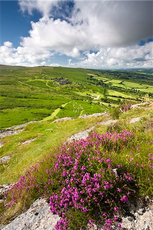 simsearch:841-07082971,k - Overlooking Bonehill Rocks from Bell Tor, Dartmoor National Park, Devon, England, United Kingdom, Europe Stock Photo - Rights-Managed, Code: 841-07355118