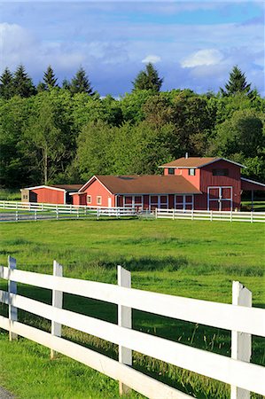 Barn on Vashon Island, Tacoma, Washington State, United States of America, North America Stock Photo - Rights-Managed, Code: 841-07355113