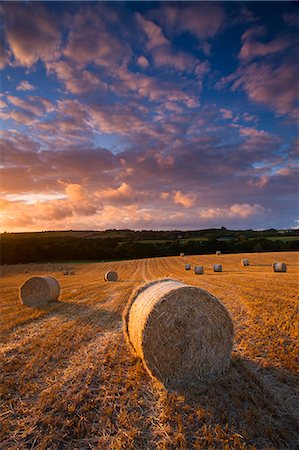 simsearch:841-07783088,k - Circular hay bales in field, Morchard Bishop, Mid Devon, England, United Kingdom, Europe Stock Photo - Rights-Managed, Code: 841-07355120