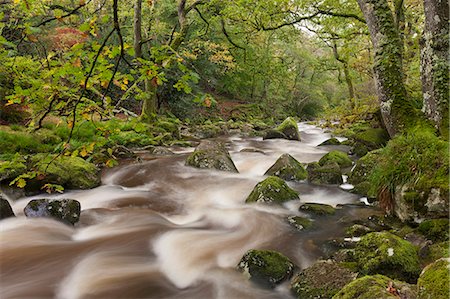 simsearch:841-07082971,k - River Plym running through Dewerstone Wood in Dartmoor, Devon, England, United Kingdom, Europe Stock Photo - Rights-Managed, Code: 841-07355133