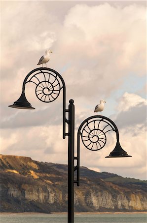 designs birds - The famous Ammonite design streetlghts in Lyme Regis, Dorset, England, United Kingdom, Europe Stock Photo - Rights-Managed, Code: 841-07355214