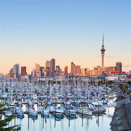 square image - Westhaven Marina and city skyline illuminated at sunset, Waitemata Harbour, Auckland, North Island, New Zealand, Pacific Stock Photo - Rights-Managed, Code: 841-07523412